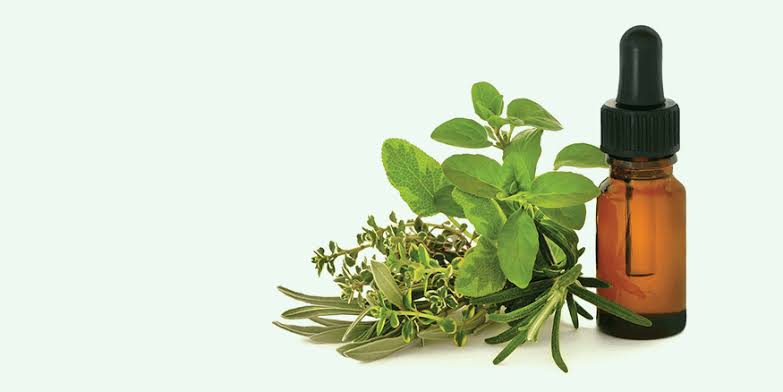 Herbal medicine for irritable bowel syndrome: recent insights